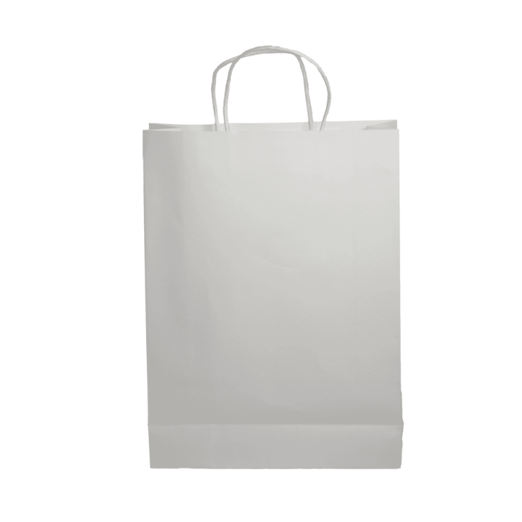 Picture of Paper Show Bag