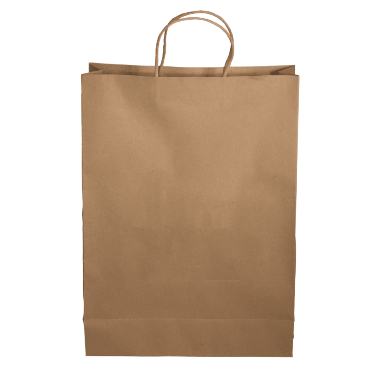 Picture of Paper Shopping Bag