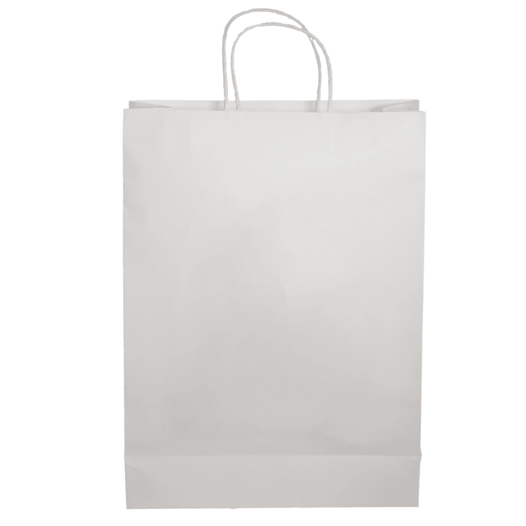 Picture of Paper Shopping Bag