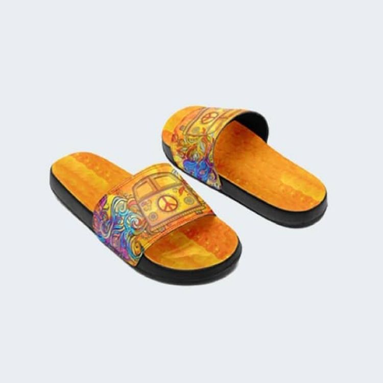 Picture of Slides