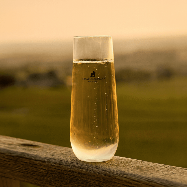Picture of Stemless Shatterproof Champagne Glass