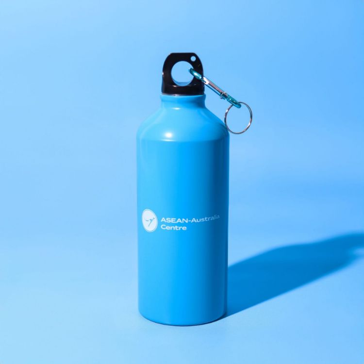 Picture of Voyager 600ml Bottle