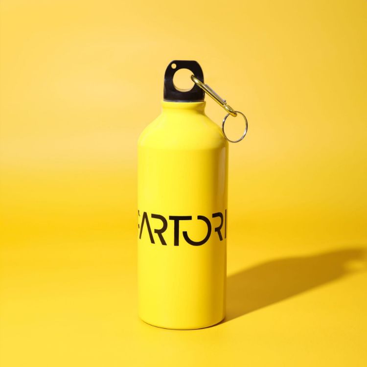 Picture of Voyager 600ml Bottle