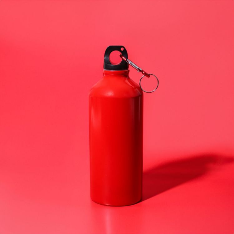 Picture of Voyager 600ml Bottle
