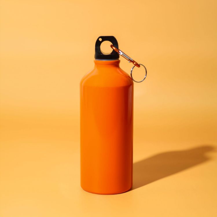Picture of Voyager 600ml Bottle