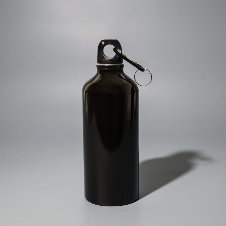 Picture of Voyager 600ml Bottle