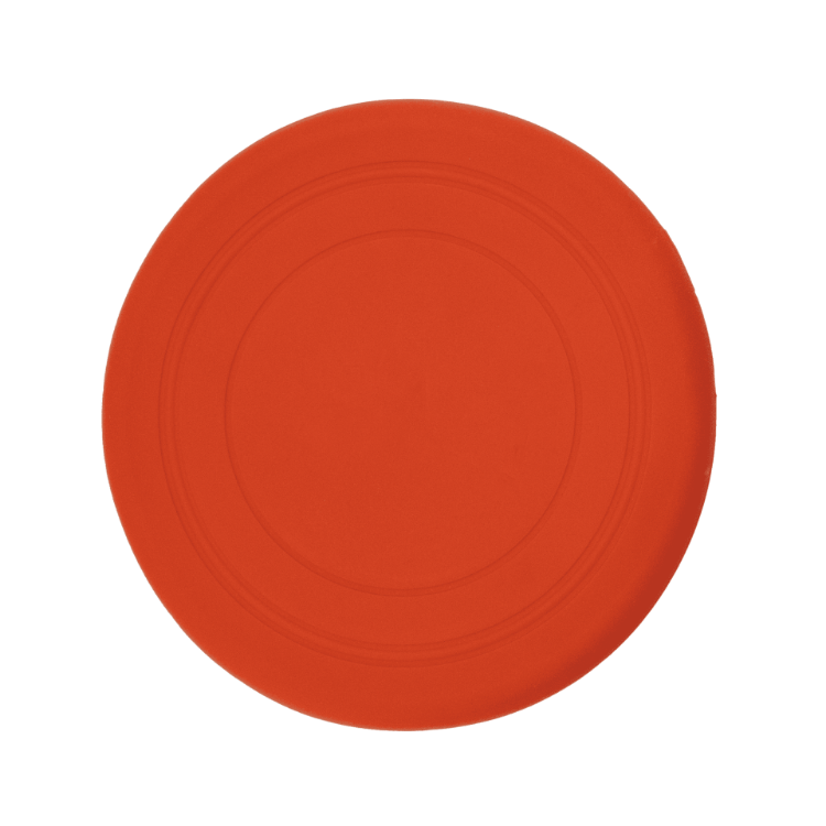 Picture of Silicon Frisbee