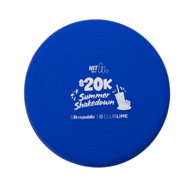 Picture of Silicon Frisbee