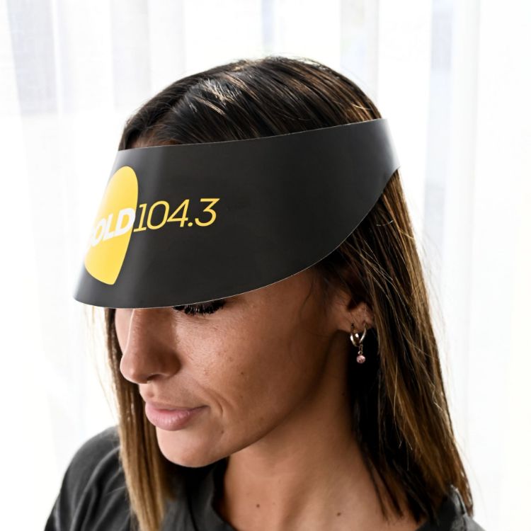 Picture of Sun Visors