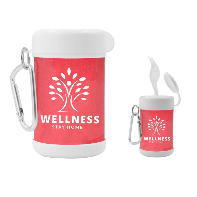 Picture of Antibacterial Wipes Canister