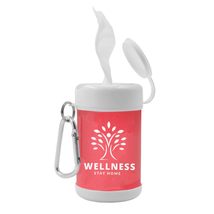 Picture of Antibacterial Wipes Canister