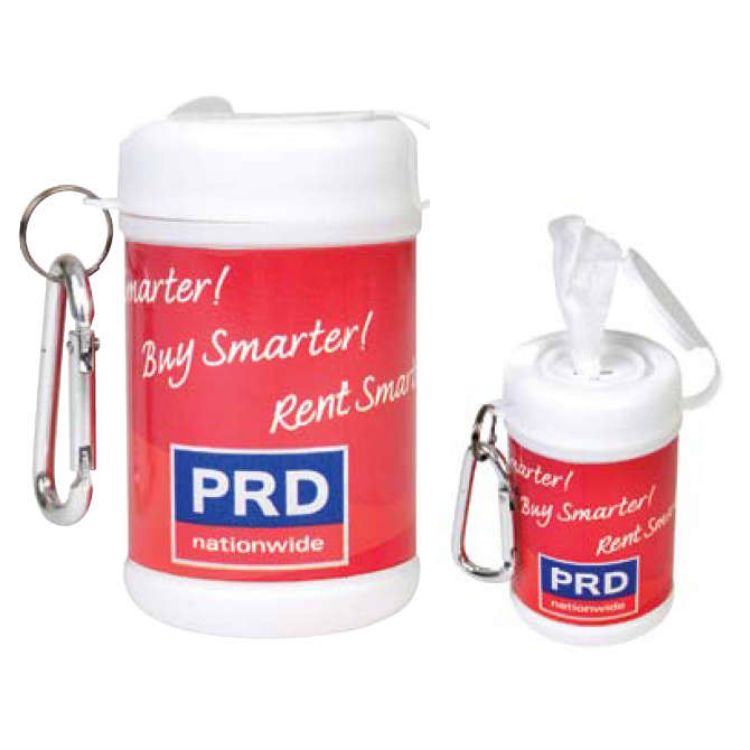 Picture of Antibacterial Wipes Canister