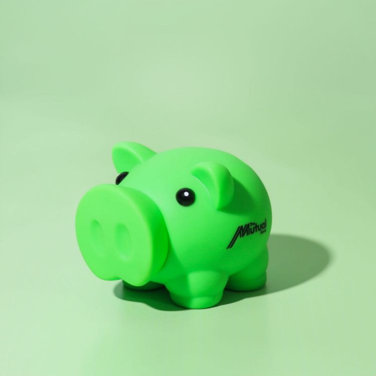 Picture of Penny Piglet