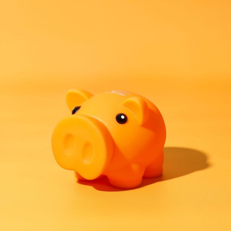 Picture of Penny Piglet
