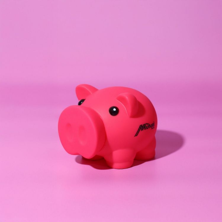 Picture of Penny Piglet