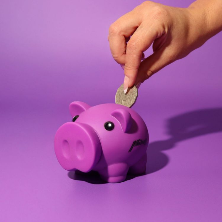 Picture of Penny Piglet