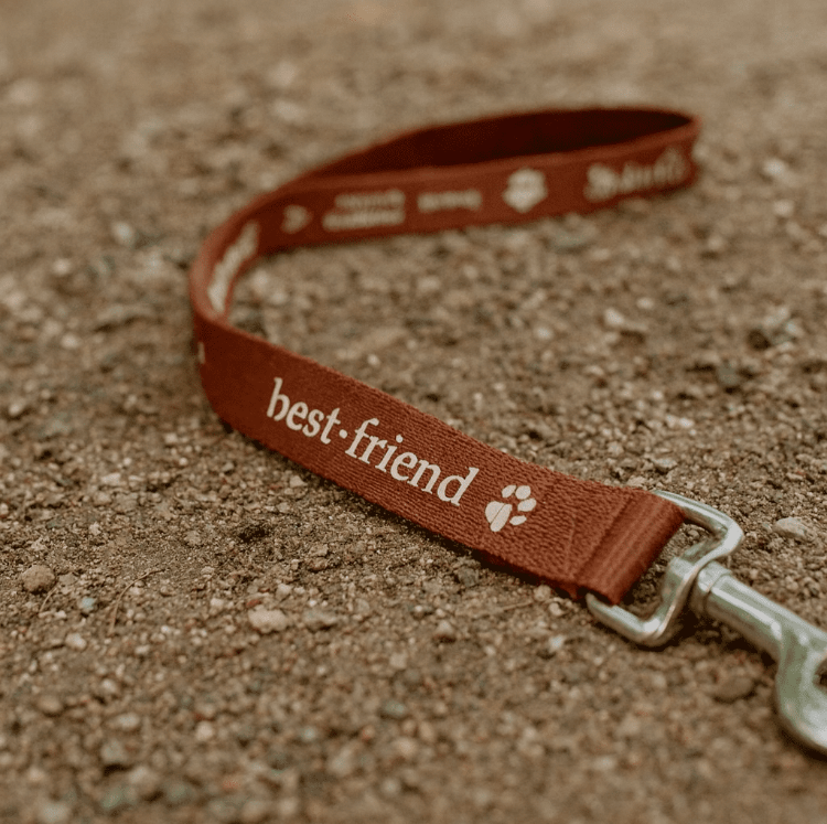 Picture of 1.4M Dog Leash 19mm