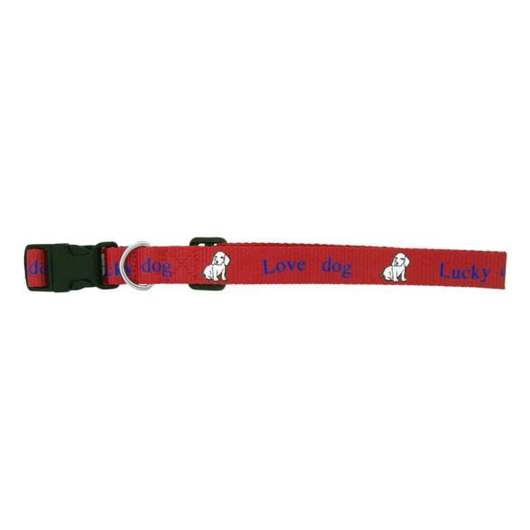 Picture of Dog Collar 19mm