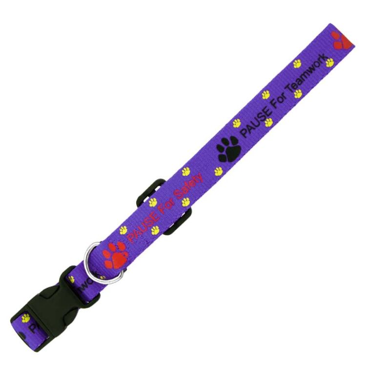 Picture of Dog Collar 10mm