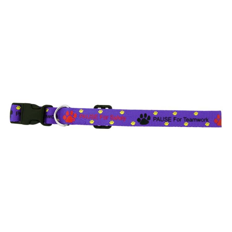 Picture of Dog Collar 10mm