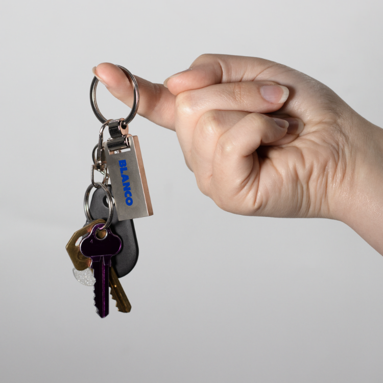 Picture of Euro Silver KeyChain