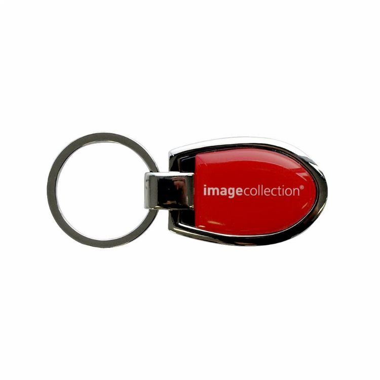 Picture of Euro Silver KeyChain