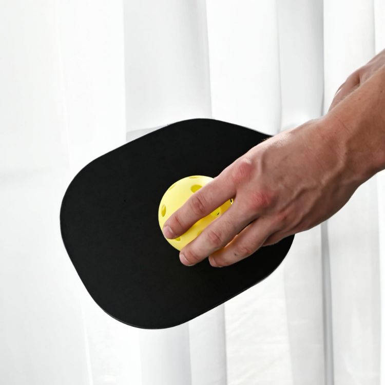 Picture of Phil's Pickle Ball Set