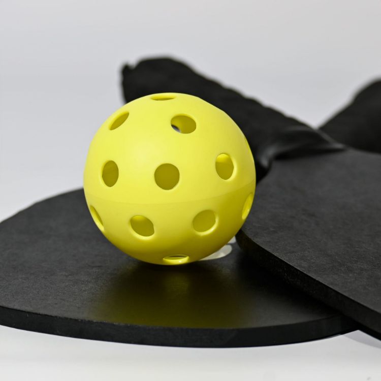 Picture of Phil's Pickle Ball Set