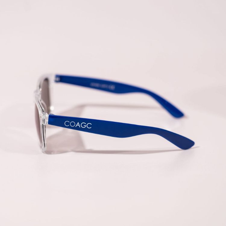 Picture of Haze Sunglasses