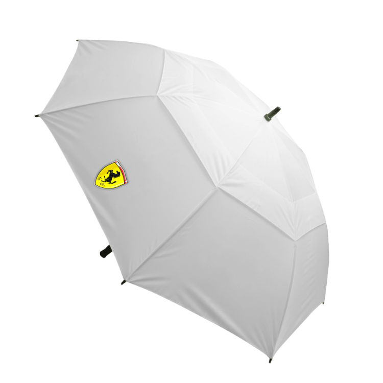 Picture of Stormy Umbrella