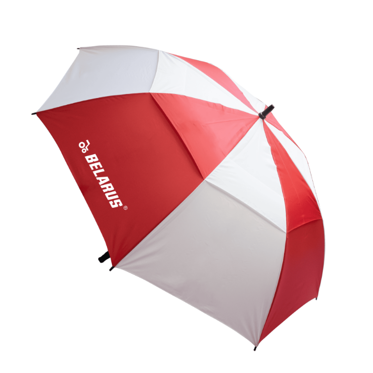 Picture of Stormy Umbrella