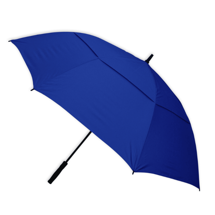 Picture of Stormy Umbrella