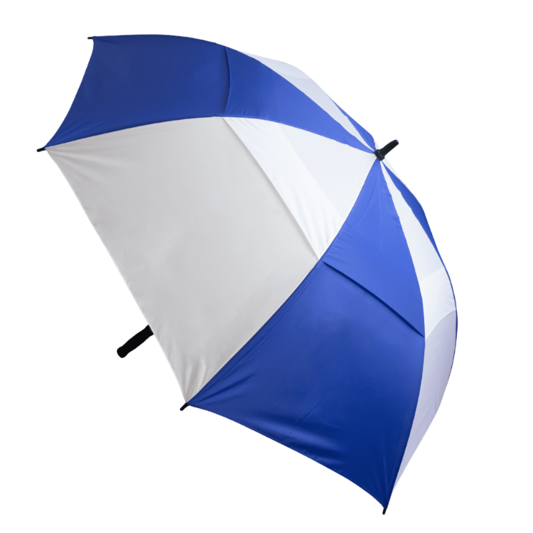 Picture of Stormy Umbrella