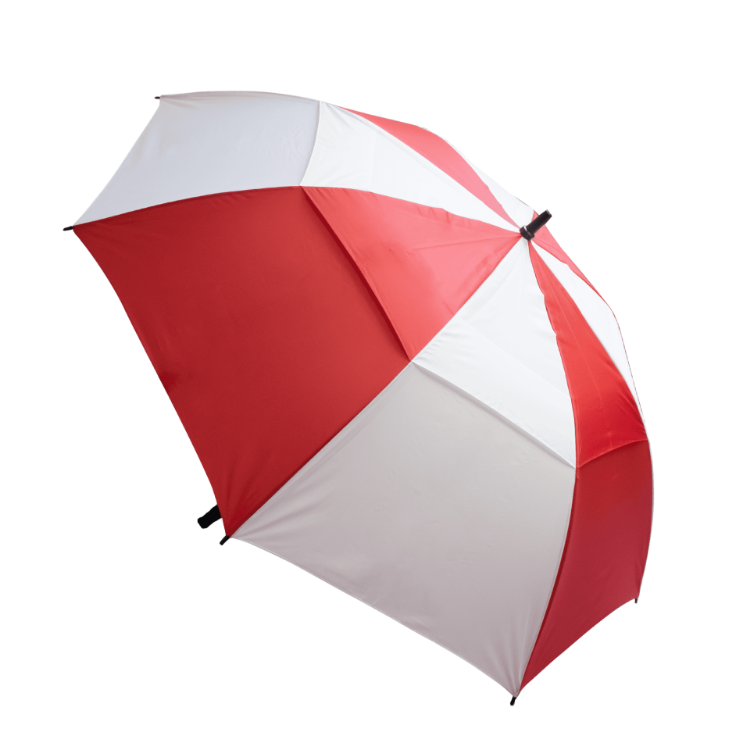 Picture of Stormy Umbrella