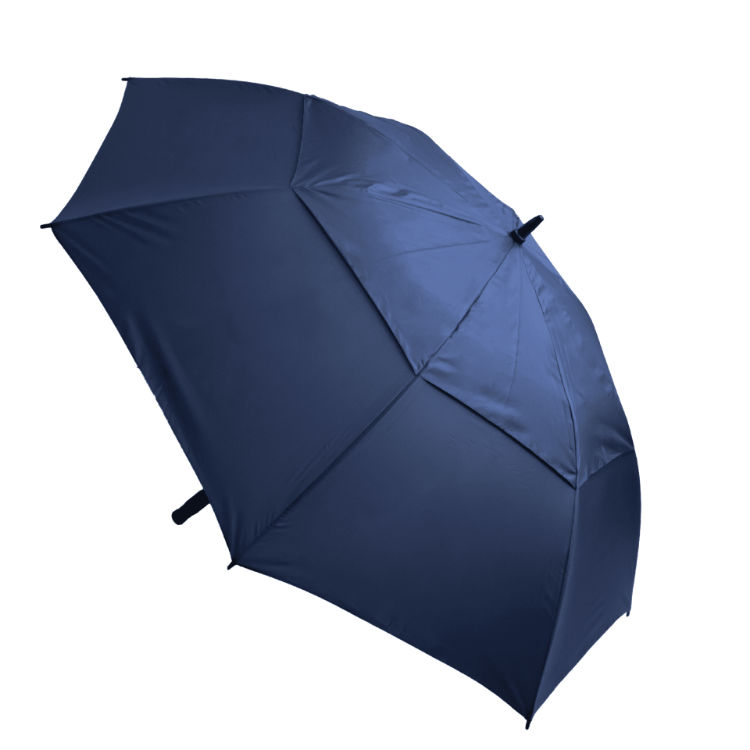 Picture of Stormy Umbrella