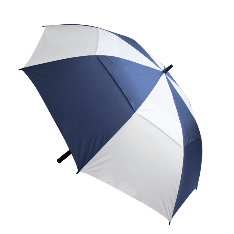 Picture of Stormy Umbrella