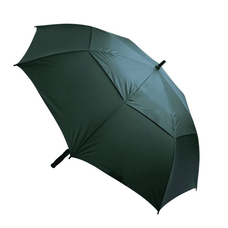 Picture of Stormy Umbrella