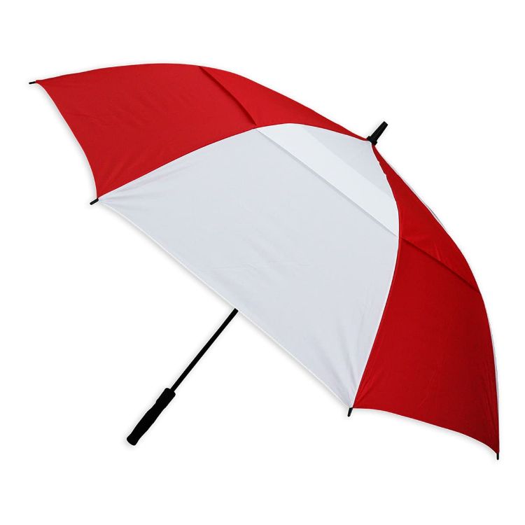 Picture of Stormy Umbrella