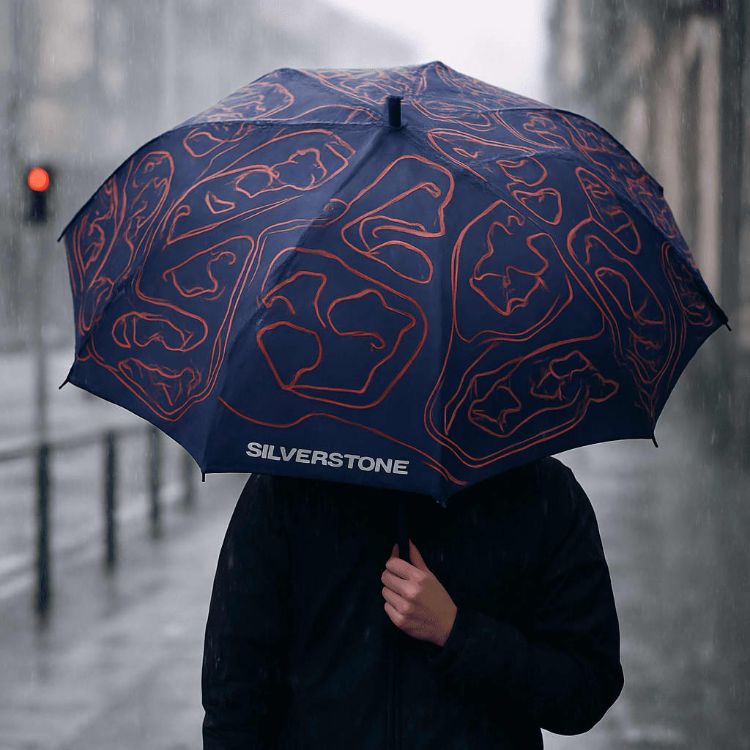 Picture of Full Colour Corporate Umbrella