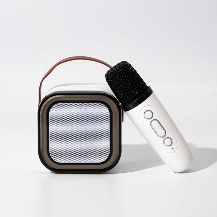 Picture of Caroline Portable Karaoke Machine