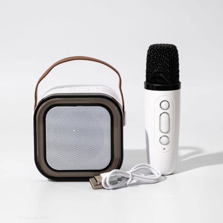 Picture of Caroline Portable Karaoke Machine