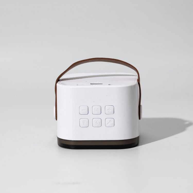 Picture of Caroline Portable Karaoke Machine