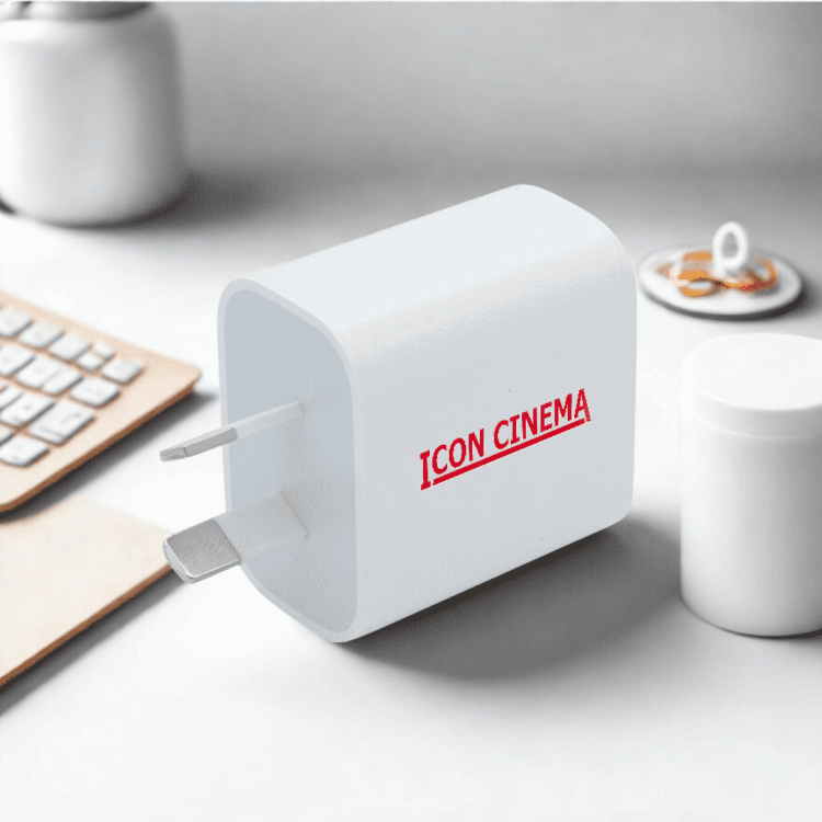 Picture of Tebogo 20W fast charge adapter